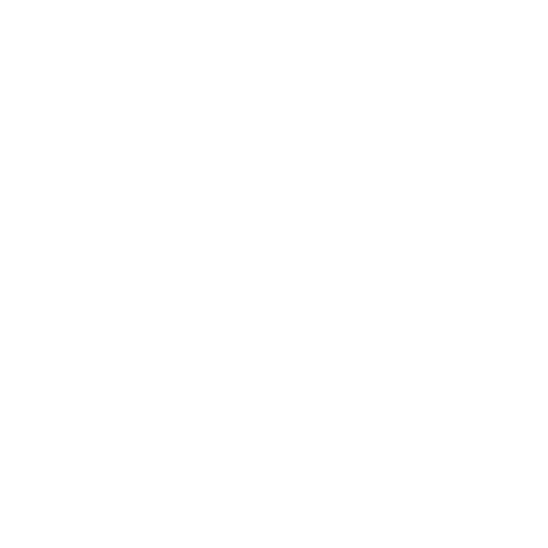 Learn2 Blue Ocean Leadership Natural Communication Style Approach